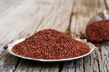 Finger Millet / Red millet , selective focus