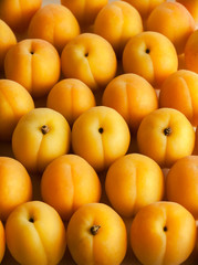 Apricots group top view on white background