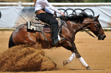 The side view of the rider sliding his horse forward on the clay field raising up the clouds of dust