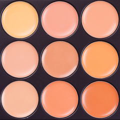 professional makeup concealer cosmetics