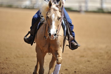 The front view of rider on horseback galloping ahead