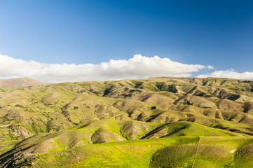 Hills of New Zealand