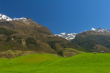 Fototapeta na wymiar New Zealand mountains