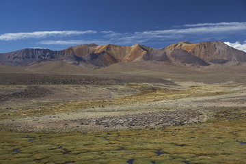 Fototapeta na wymiar The altiplano, around 4000 metres above sea level, in Lauca National Park, Chile. In the foreground is a wetland area known locally as a bofedal, beyond are the colourful slopes of an extinct volcano.