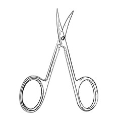 Vector sketch of manicure scissors