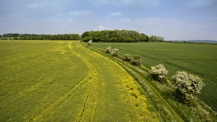 Rolgordijnen Aerial view of yellow flowering rapeseed field, green wheat field, with a hedgerow footpath with wild spring flowers in English Cotswolds countryside © Yols