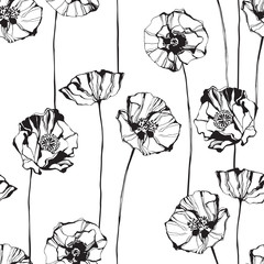 Black and white seamless pattern with poppies. Hand-drawn floral background.