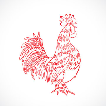 Chinese zodiac rooster design element for Chinese New Year decoration. Image of a hand drawing cock or rooster with red outline on grey background. Drawing for coloring.
