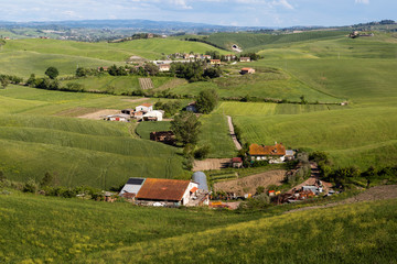 Fototapeta na wymiar Tuscany scenery: green fields and hills, panorama landscape.