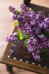 Fototapeta premium lilac