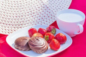 Picnic in the summer garden on a sunny day