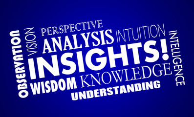 Insights Knowledge Intelligence Analysis Word Collage 3d Illustr