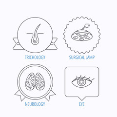 Eye, neurology brain and surgical lamp icons.