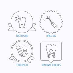 Toothpaste, dental tubules and toothache icons.