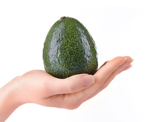 Female hand holding avocado, isolated on white