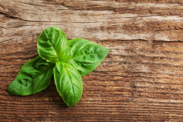 Fresh basil leaves on wooden background