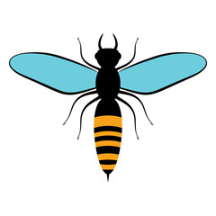 Flying black bee with blue wings. Bee icon, isolated on white background. Insects. Flat style.