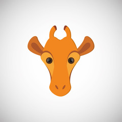 Animal design. giraffe icon. Isolated illustration , vector