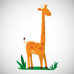 Animal design. giraffe icon. Isolated illustration , vector