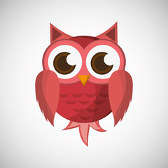 Animal design. owl icon. Isolated illustration , vector