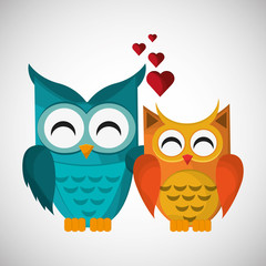 Animal design. owl icon. Isolated illustration , vector