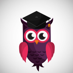 Animal design. owl icon. Isolated illustration , vector