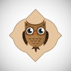 Animal design. owl icon. Isolated illustration , vector