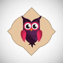 Animal design. owl icon. Isolated illustration , vector