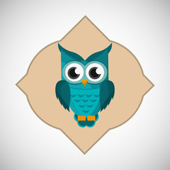 Animal design. owl icon. Isolated illustration , vector
