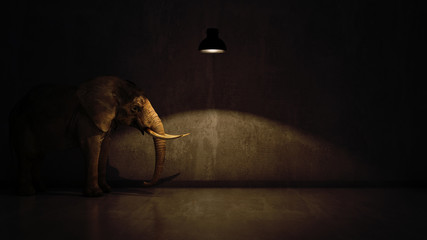 Naklejka premium słoń w pokoju przy ścianie. Kreatywna koncepcja