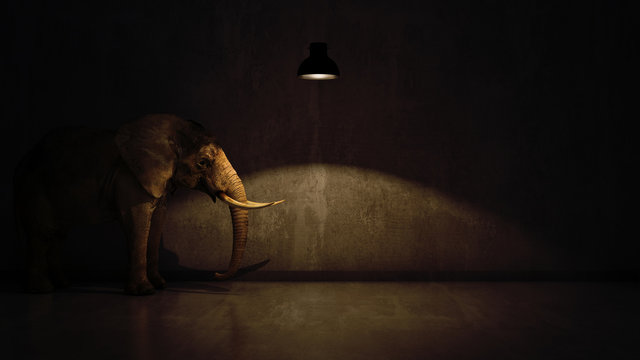 Fototapeta elephant in the room near wall. Creative concept