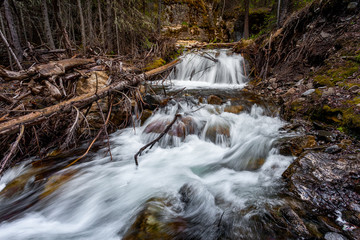 A small waterfall and stream flowing over the rocks through the forest in Kananaskis, Alberta Canada