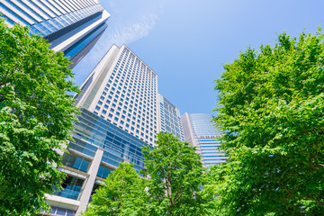 東京　品川　高層ビル　新緑