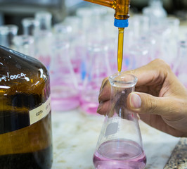 Scientist fill chemical into erlenmeyer flask