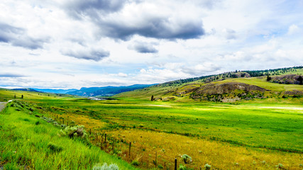 Fototapeta na wymiar The wide open grasslands and rolling hills of the Nicola Valley between Kamloops and Merritt, British Columbia