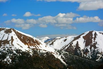 Snow Covered Stone Mountains in Colorado With Pine Trees at Lower Elevations