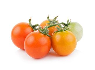 tomato on white background