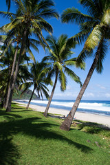 Grande Anse, Ile de la R&eacute;union