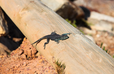 Cape Town and South Africa