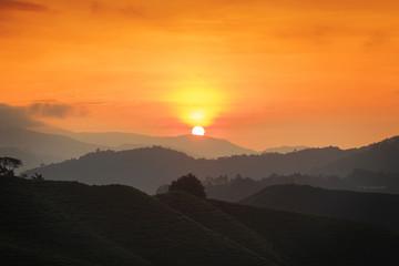 Naklejka na ściany i meble silhouette of tea plantation and mountain at the sunrise