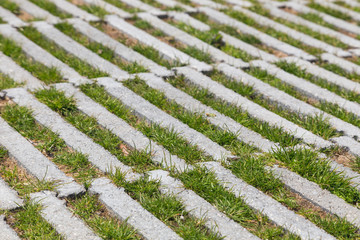 backgound with natural material