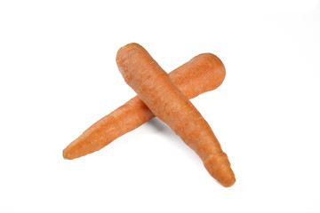 Fresh carrot