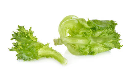 green frillies iceberg lettuce on white background