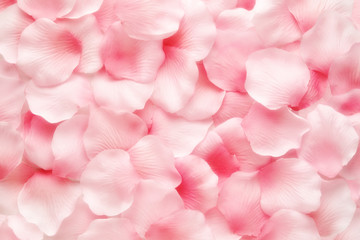 Beautiful delicate pink rose petal background - obrazy, fototapety, plakaty