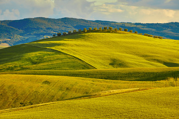 Obraz premium The beautiful colors of the spring in Tuscany