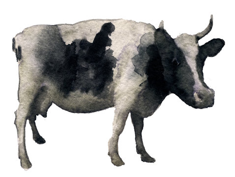 watercolor sketch of cow on a white background