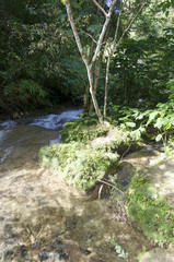 Inside the park el Nicho in Cienfuegos Province, Cuba