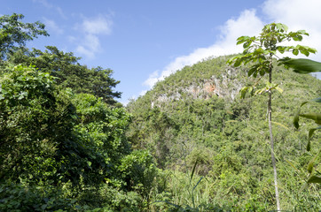 View of park el Nicho in Cienfuegos Province, Cuba