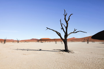 Namibian landscapes