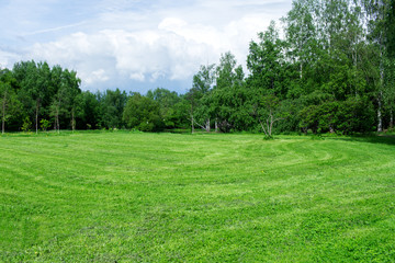 green meadow